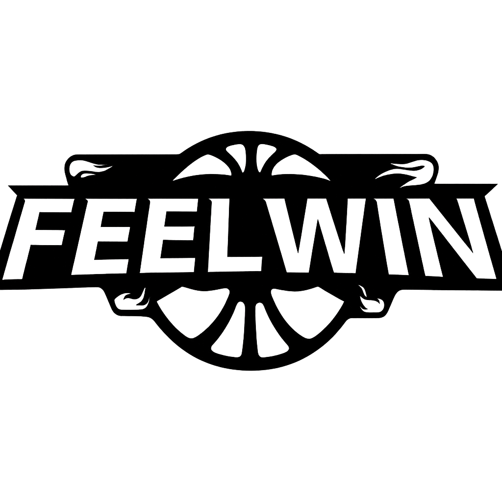 Feelwin Basketball Hoops